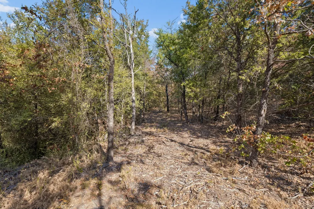 2301 Moseley (Land) Road Cross Roads, TX 76227