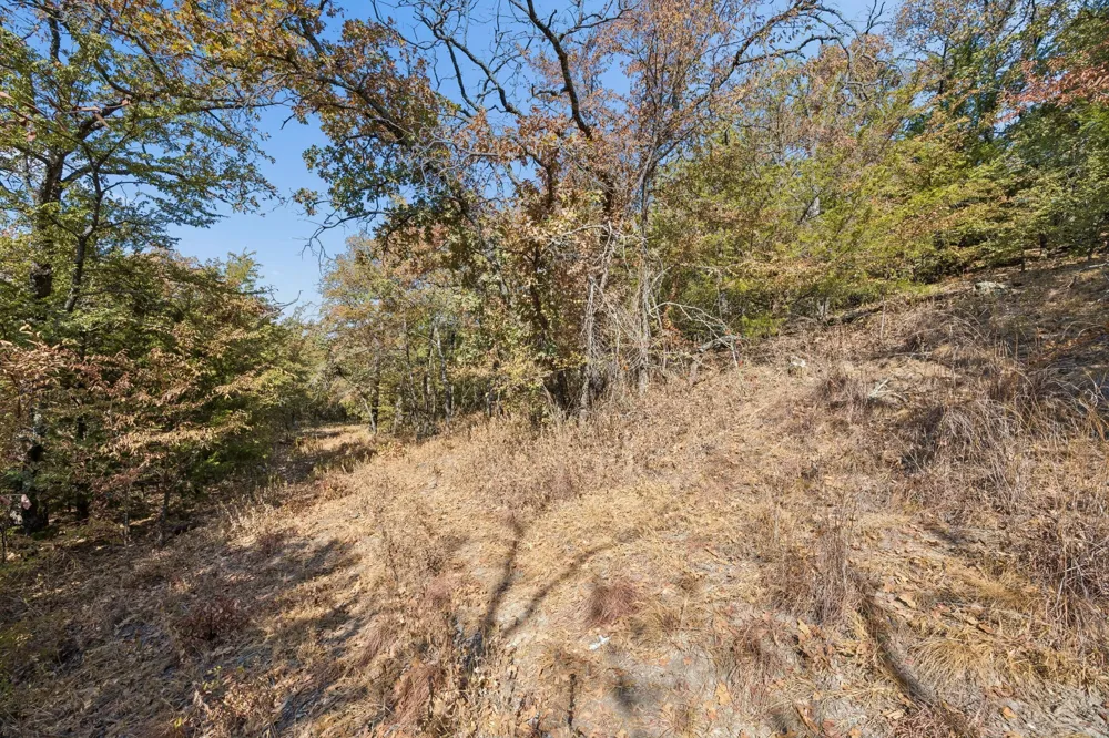 2301 Moseley (Land) Road Cross Roads, TX 76227