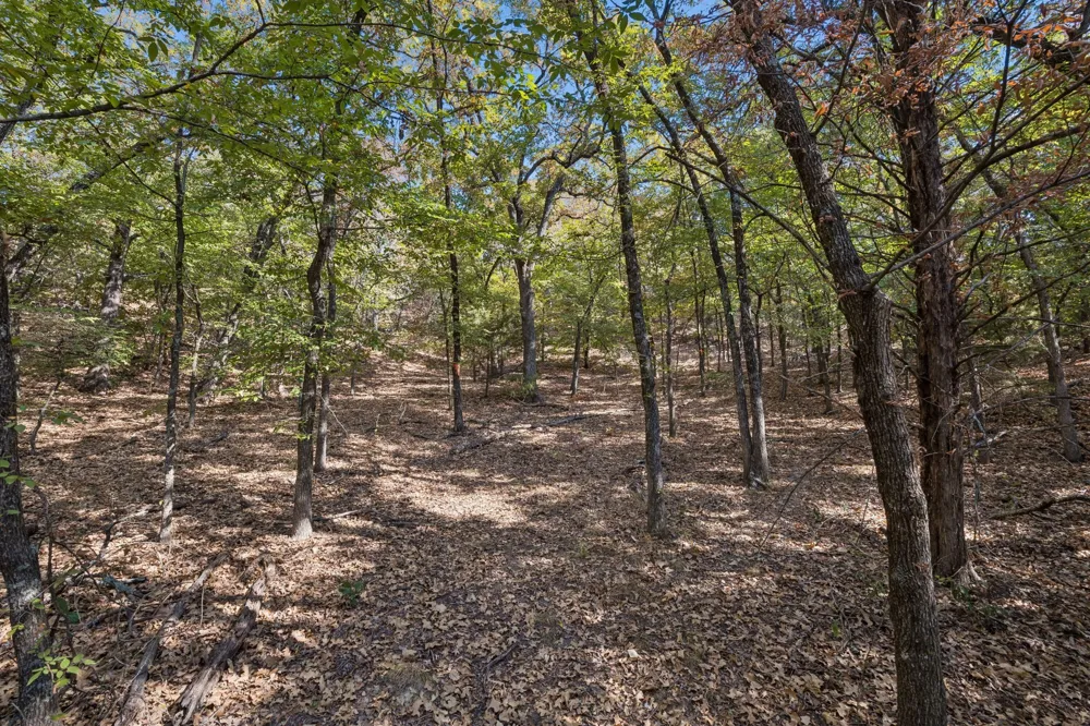 2301 Moseley (Land) Road Cross Roads, TX 76227