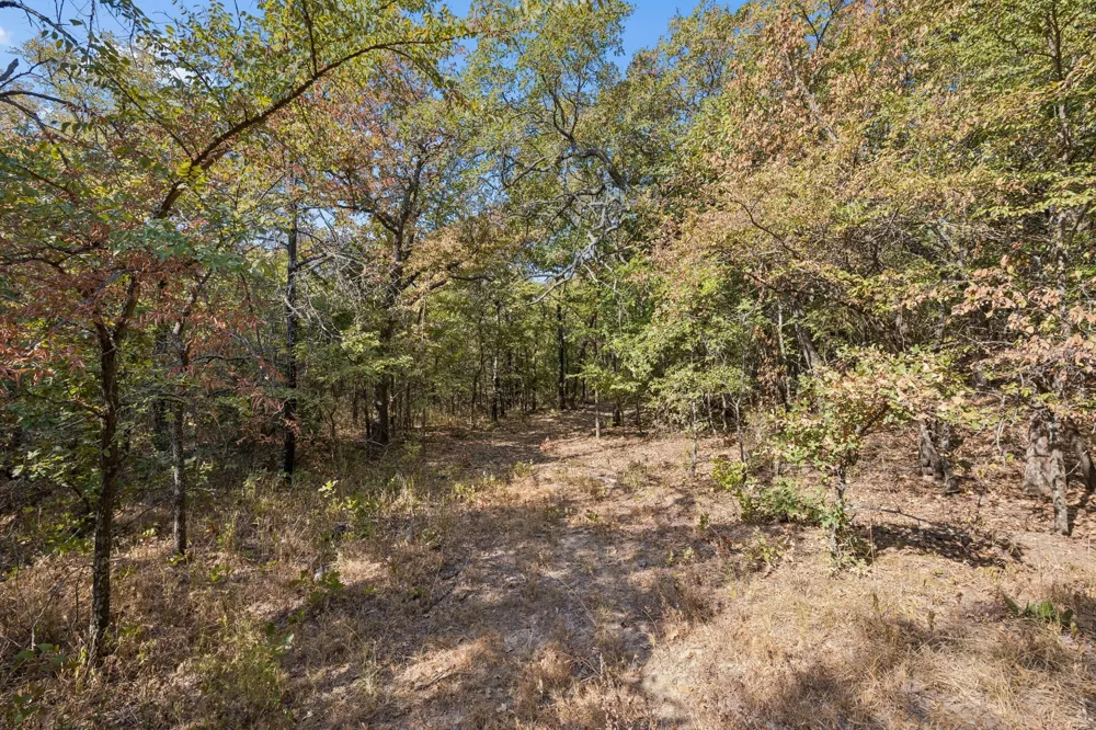 2301 Moseley (Land) Road Cross Roads, TX 76227