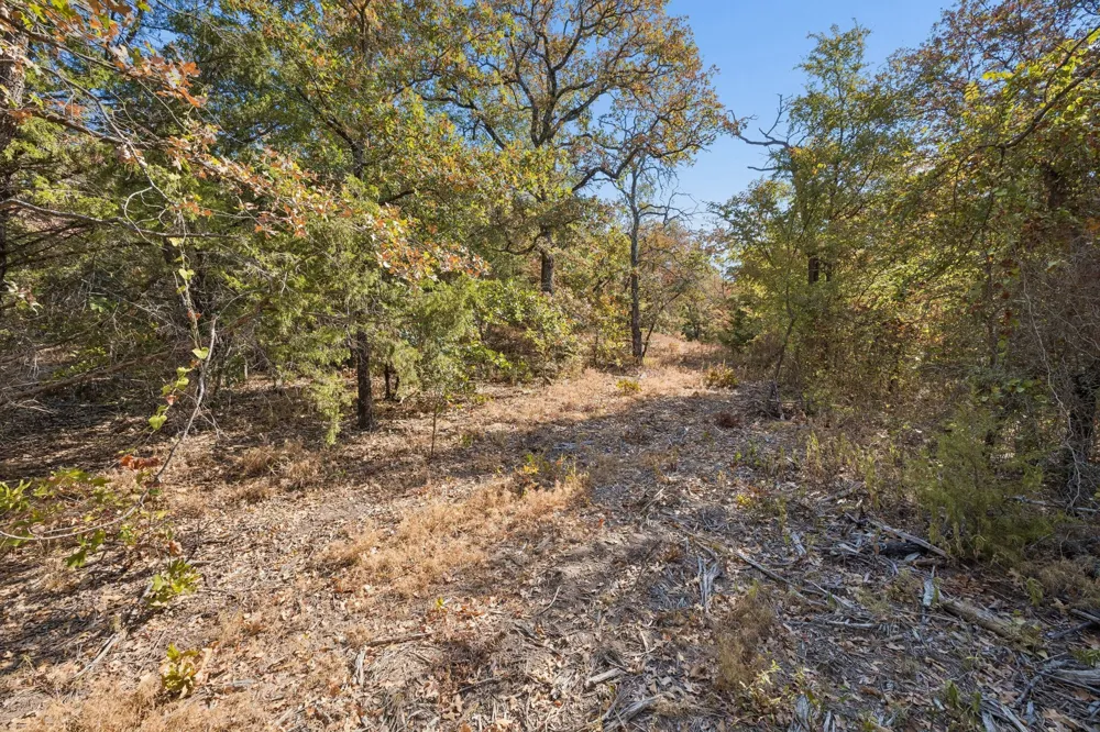 2301 Moseley (Land) Road Cross Roads, TX 76227