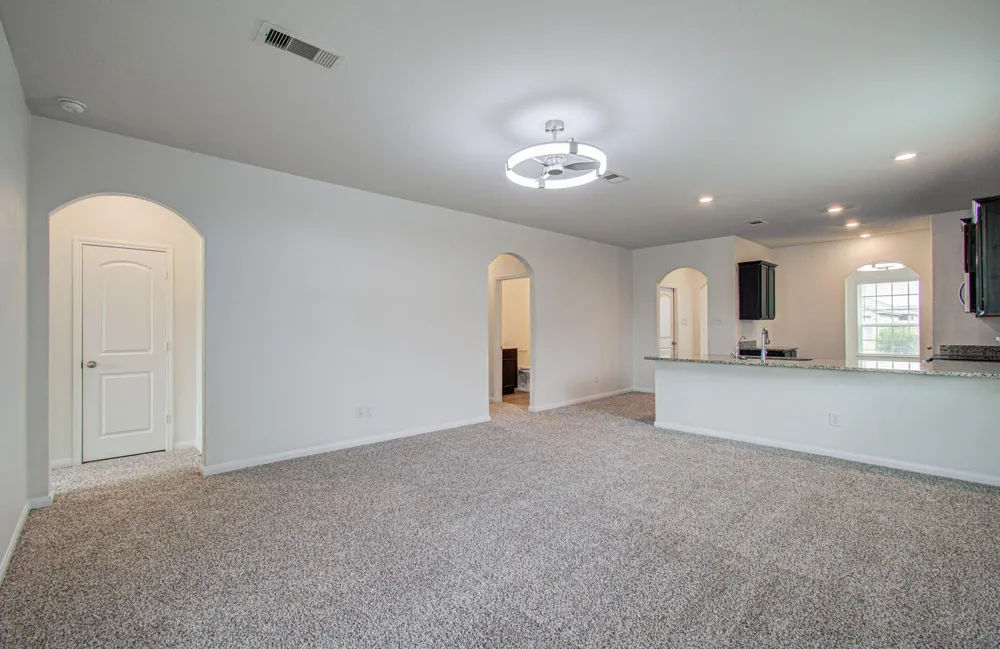 1222 Paradise Found Drive Iowa Colony, TX 77583