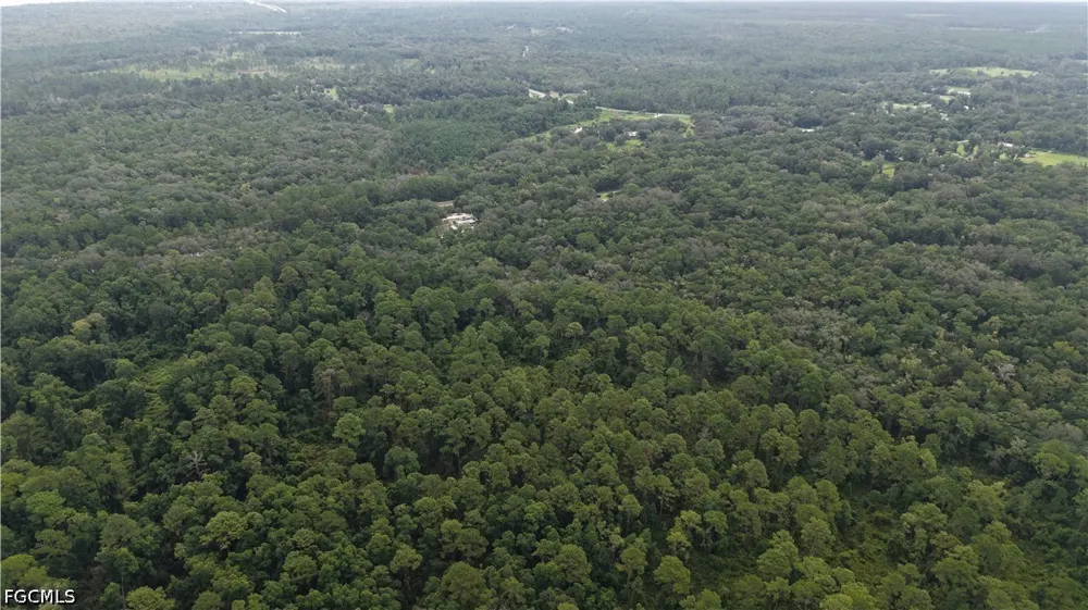 Carriage Place Satsuma, FL 32189