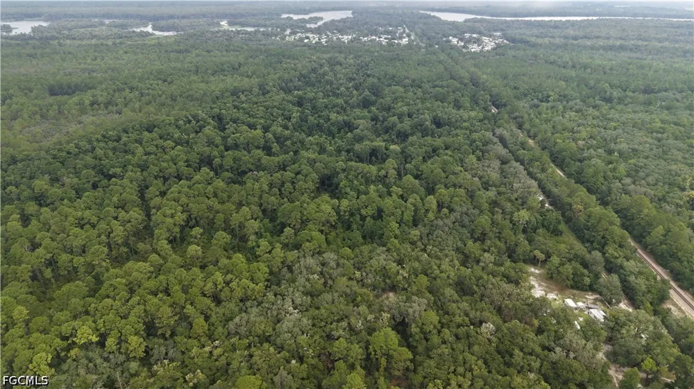 Carriage Place Satsuma, FL 32189