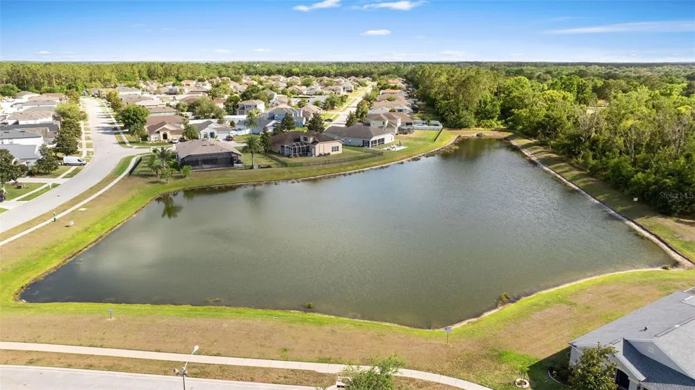 7619 CRESCENT PALM DRIVE Wesley Chapel, FL 33545
