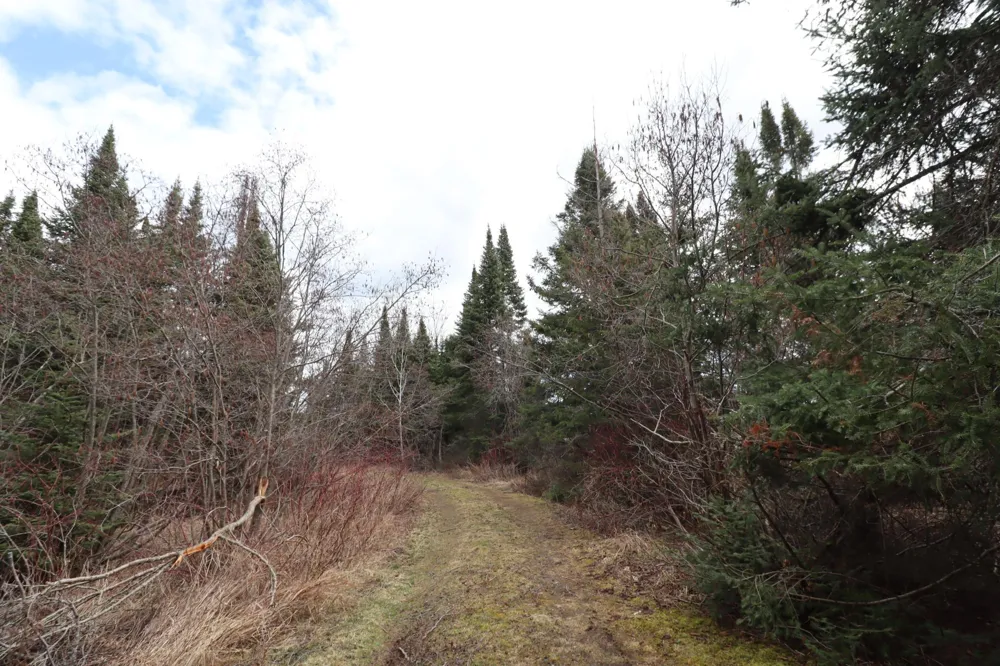 84XXX Quarry Point Rd Port Wing, WI 54865