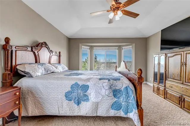 3188 Soaring Eagle Lane Castle Rock, CO 80109