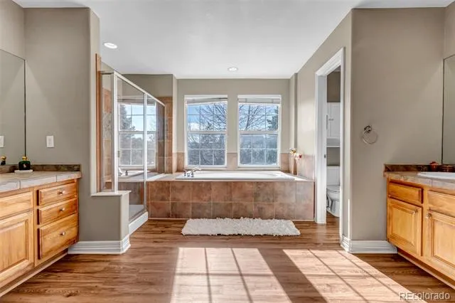 3188 Soaring Eagle Lane Castle Rock, CO 80109