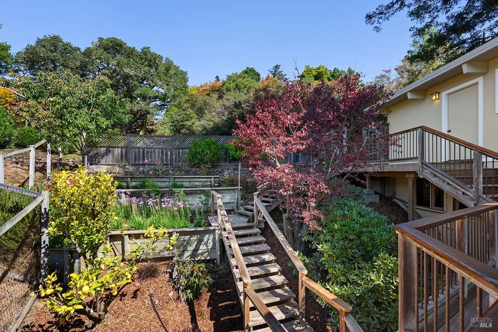 646 Ridgewood Avenue Mill Valley, CA 94941