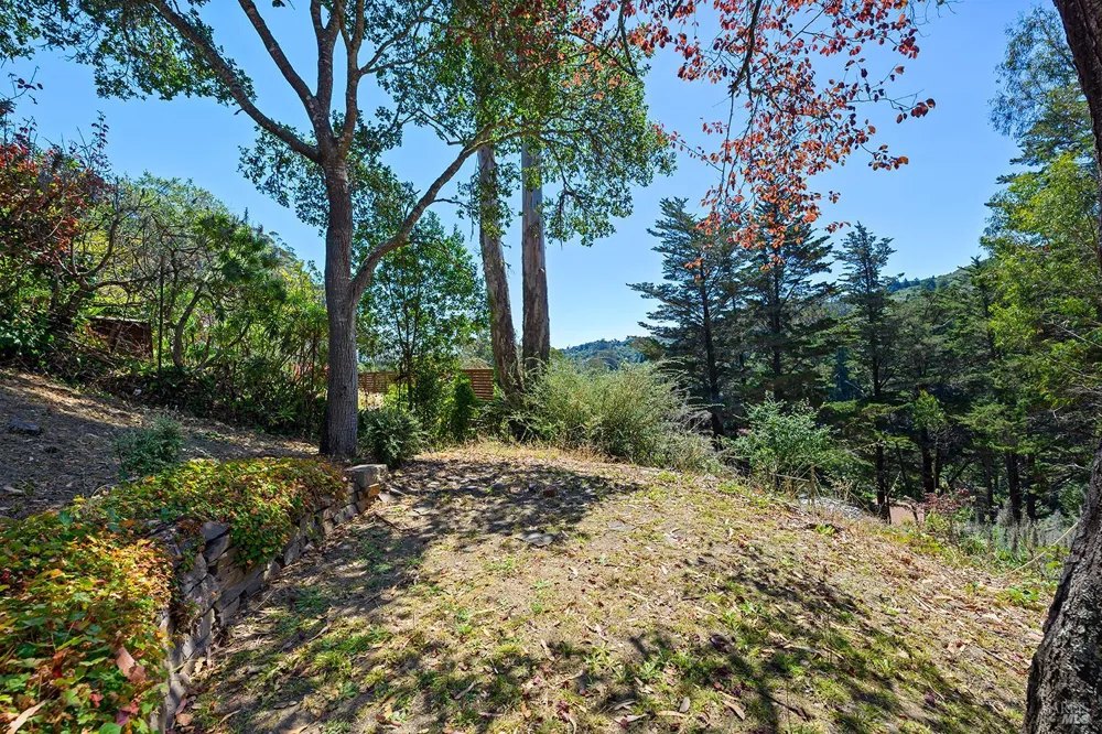646 Ridgewood Avenue Mill Valley, CA 94941