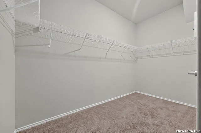 7003 Phoenix Path Converse, TX 78109