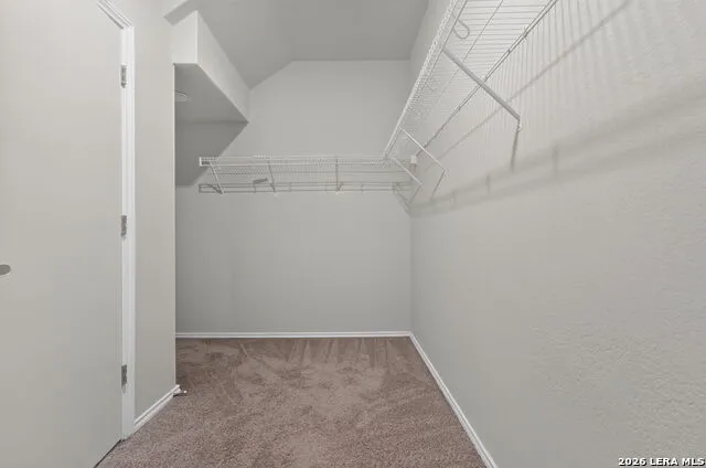 7003 Phoenix Path Converse, TX 78109