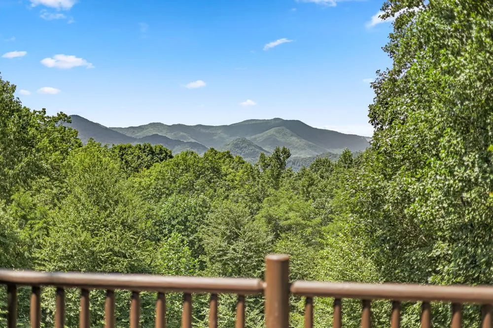 Canvas Back Ct Whittier, NC 28789