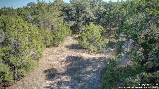 915 FIVE OAKS CIR Canyon Lake, TX 78133