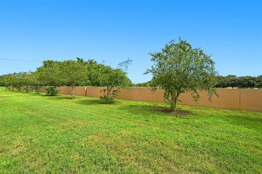 9755 TRUMPET VINE LOOP New Port Richey, FL 34655