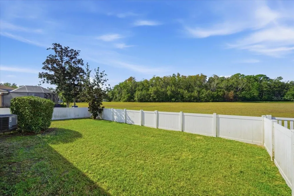 18425 CYPRESS BAY PARKWAY Land O Lakes, FL 34638