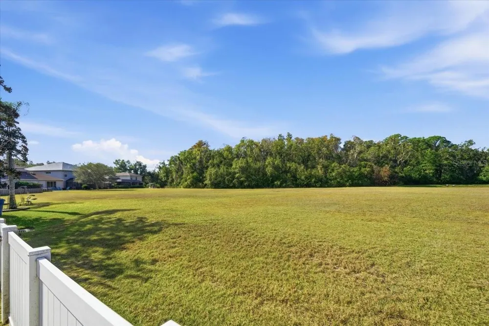 18425 CYPRESS BAY PARKWAY Land O Lakes, FL 34638