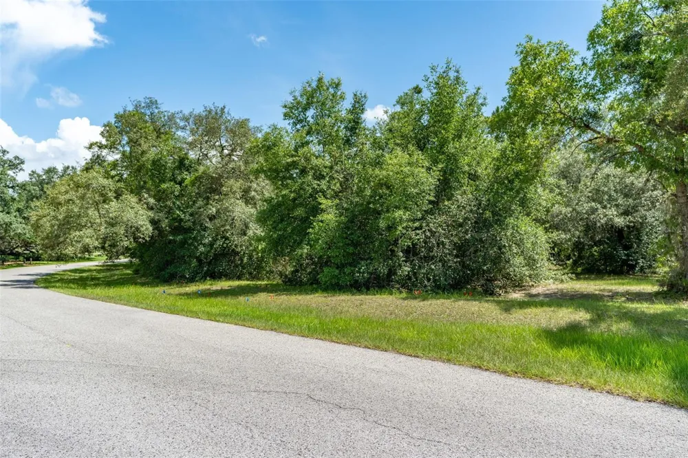 4695 PINE VALLEY LOOP Lecanto, FL 34461