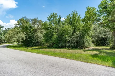4695 PINE VALLEY LOOP