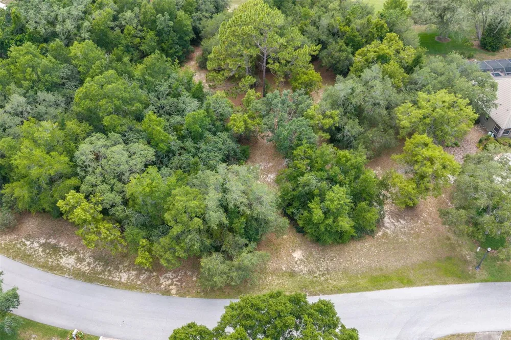 4695 PINE VALLEY LOOP Lecanto, FL 34461
