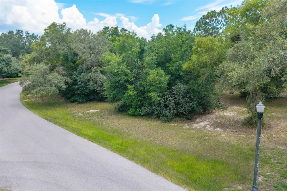 4695 PINE VALLEY LOOP Lecanto, FL 34461