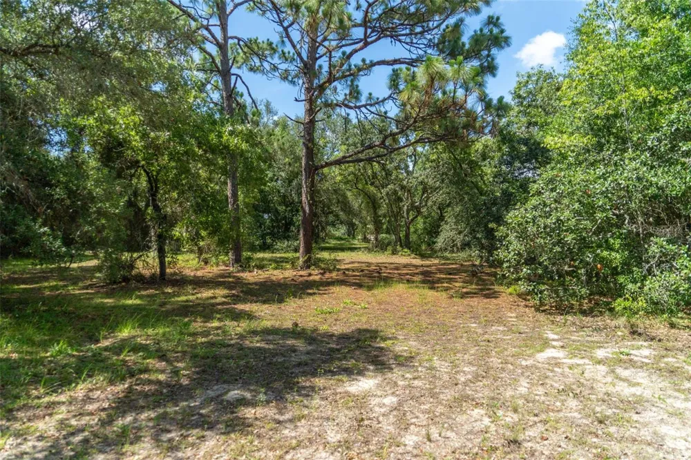 4695 PINE VALLEY LOOP Lecanto, FL 34461