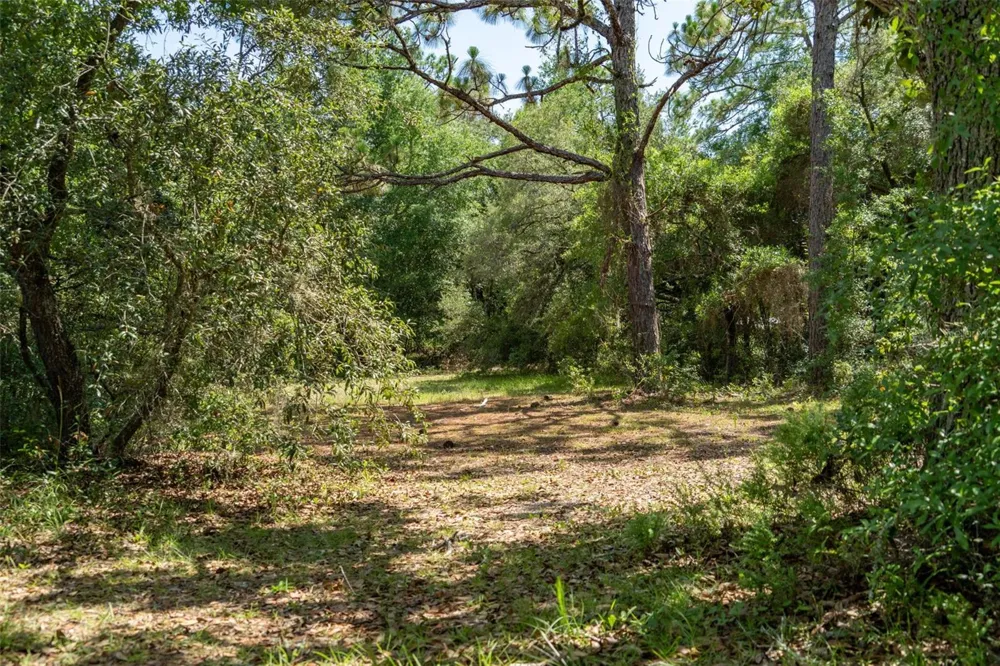 4695 PINE VALLEY LOOP Lecanto, FL 34461
