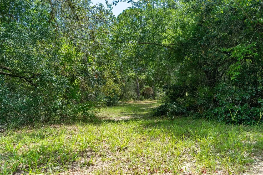4695 PINE VALLEY LOOP Lecanto, FL 34461