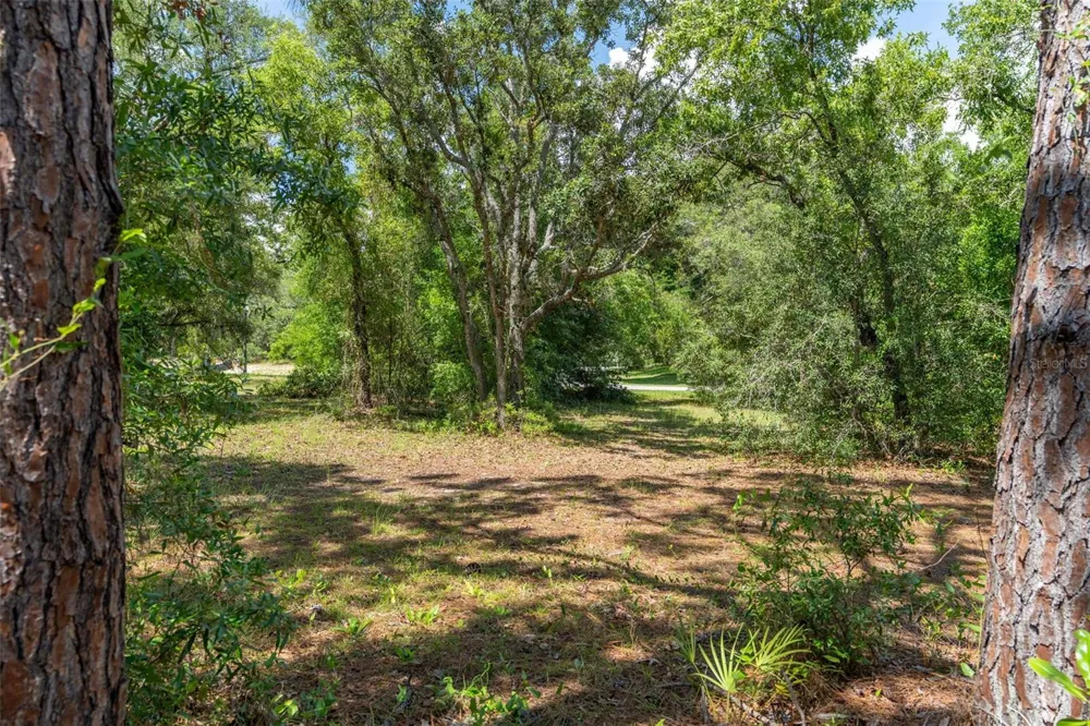 4695 PINE VALLEY LOOP Lecanto, FL 34461