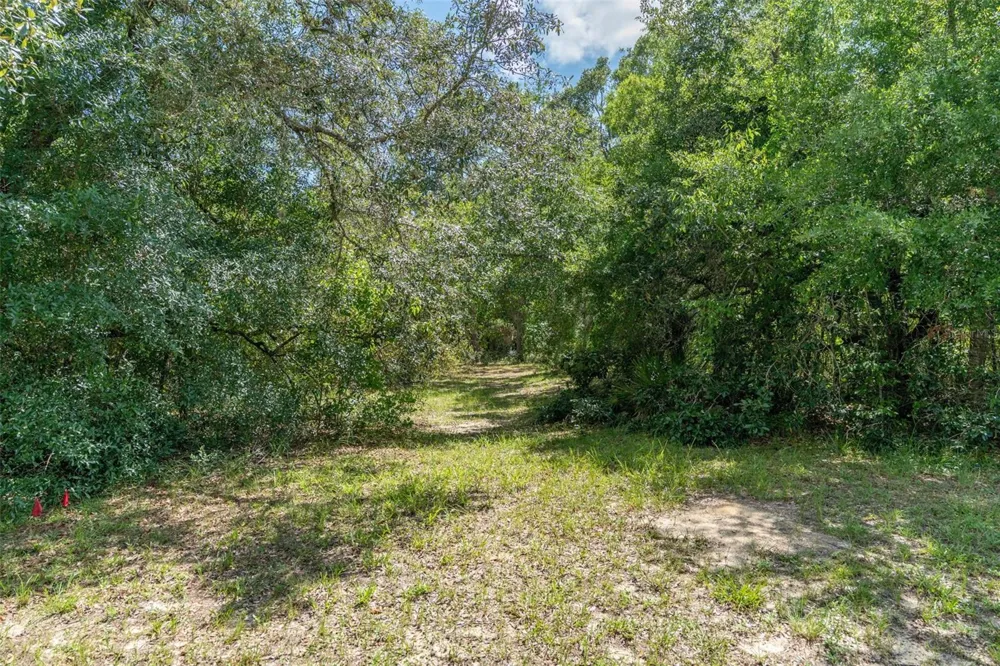 4695 PINE VALLEY LOOP Lecanto, FL 34461