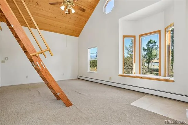 233 Brookdale Avenue Buena Vista, CO 81211