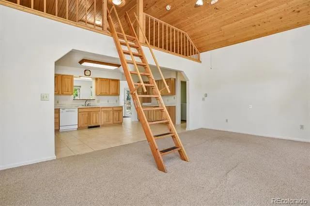 233 Brookdale Avenue Buena Vista, CO 81211