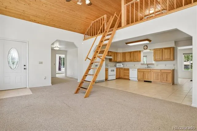 233 Brookdale Avenue Buena Vista, CO 81211
