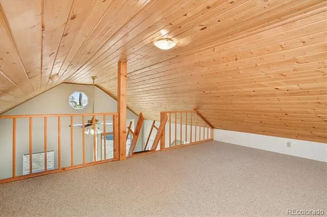 233 Brookdale Avenue Buena Vista, CO 81211