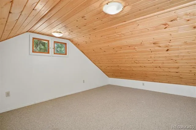 233 Brookdale Avenue Buena Vista, CO 81211