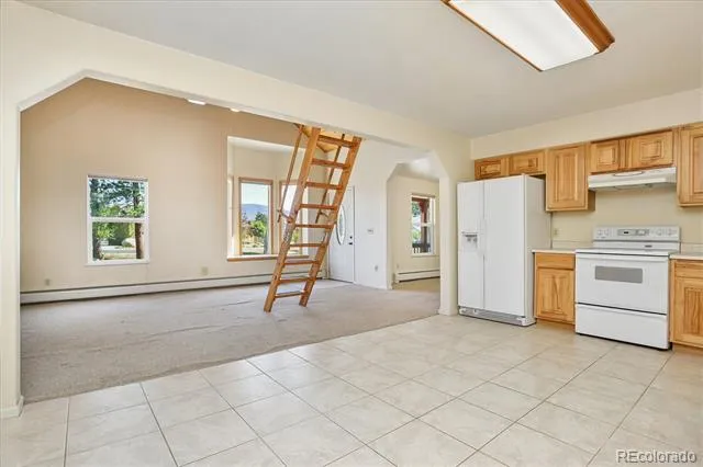 233 Brookdale Avenue Buena Vista, CO 81211