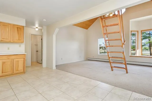 233 Brookdale Avenue Buena Vista, CO 81211
