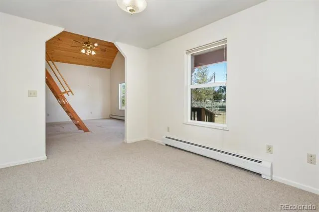 233 Brookdale Avenue Buena Vista, CO 81211