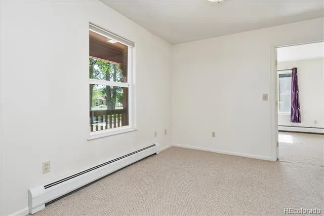 233 Brookdale Avenue Buena Vista, CO 81211