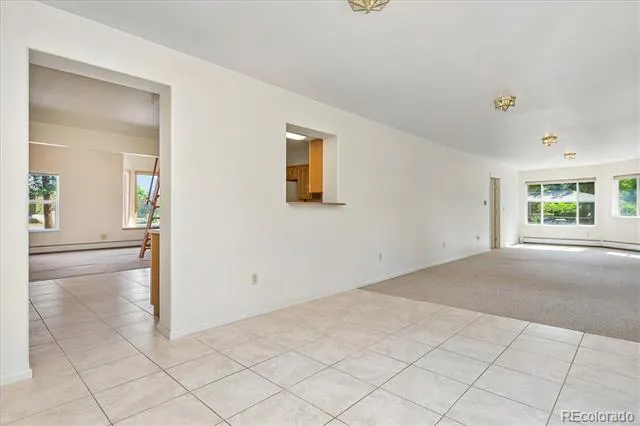 233 Brookdale Avenue Buena Vista, CO 81211