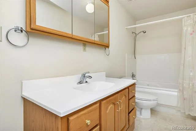 233 Brookdale Avenue Buena Vista, CO 81211