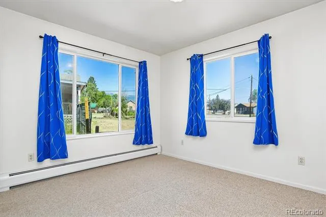 233 Brookdale Avenue Buena Vista, CO 81211