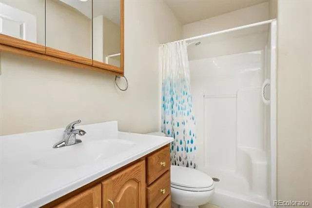 233 Brookdale Avenue Buena Vista, CO 81211