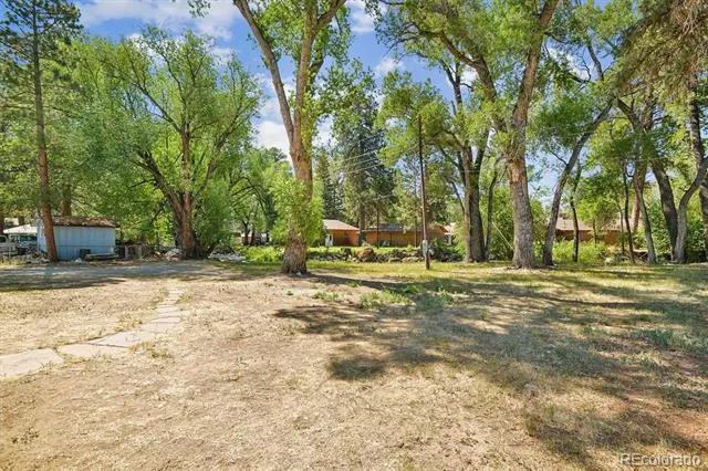 233 Brookdale Avenue Buena Vista, CO 81211