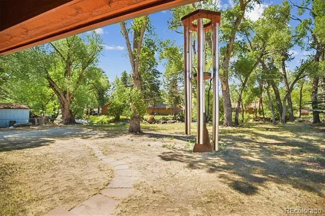 233 Brookdale Avenue Buena Vista, CO 81211