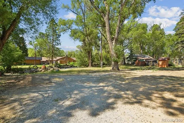 233 Brookdale Avenue Buena Vista, CO 81211