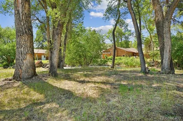 233 Brookdale Avenue Buena Vista, CO 81211