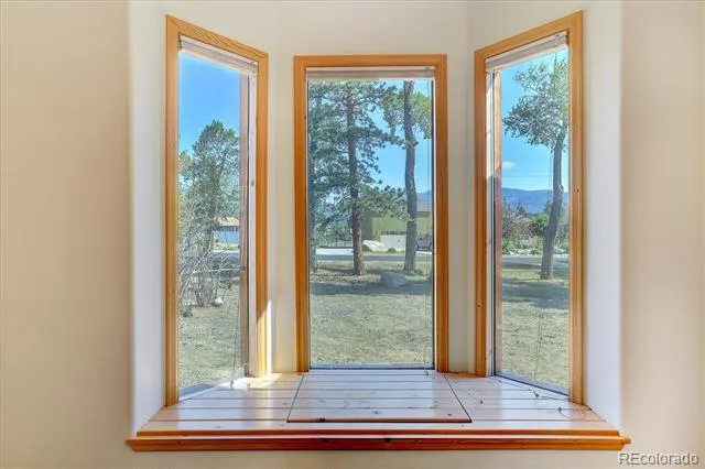 233 Brookdale Avenue Buena Vista, CO 81211
