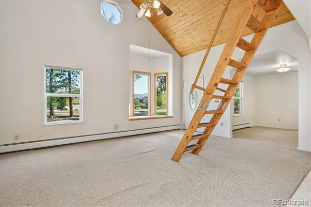 233 Brookdale Avenue Buena Vista, CO 81211