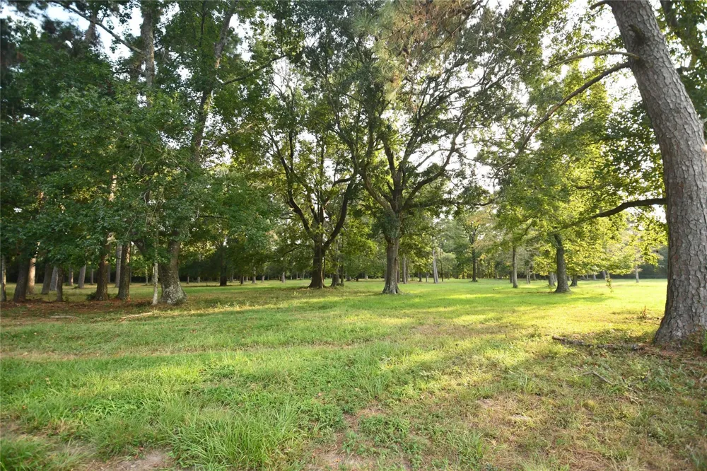 401 County Road 2226 Cleveland, TX 77327